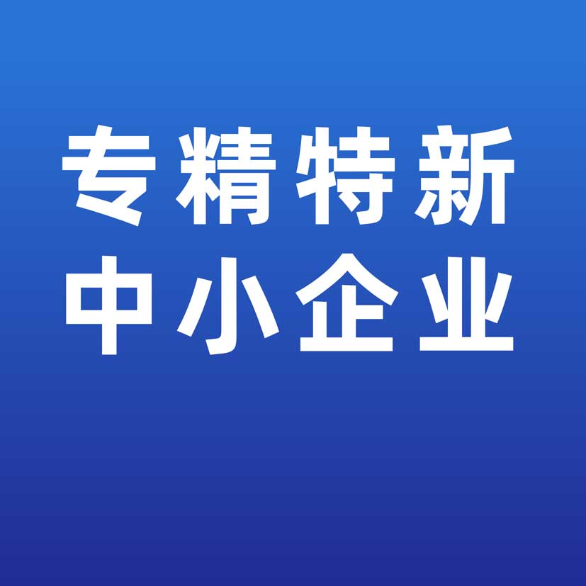 鑫英泰子公司荣获“湖北省专精特新中小企业”称号