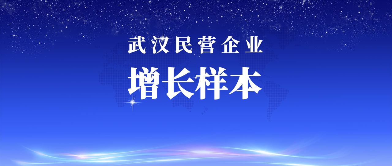 鑫英泰入选武汉市民营企业增长样本企业